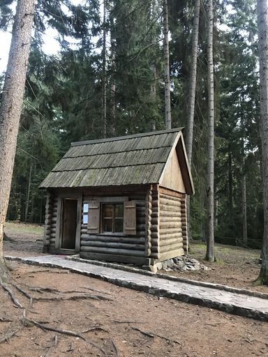A vertical shot of a small wooden hut in the forest with tall trees