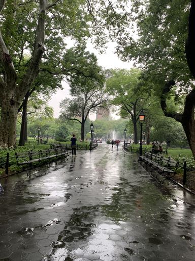 A vertical shot of a park with a wet ground after the rain