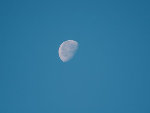 A beautiful scenery of the moon in a clear blue sky - great for a cool background or wallpaper