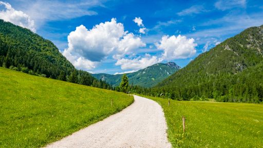 A beautiful view of a road between green meadow surrounded by forest and mountains