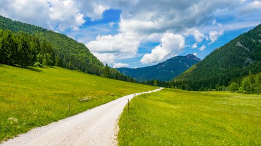 A beautiful view of a road between green meadow surrounded by forest and mountains