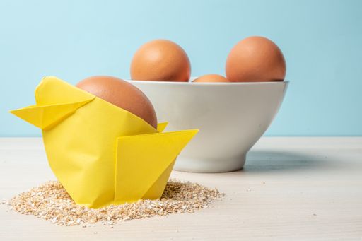 A closeup of a yellow origami chick with oats and a bowl of eggs on the table