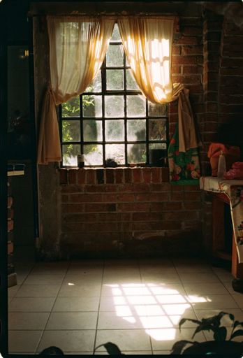 A vertical shot of an old room with brick walls