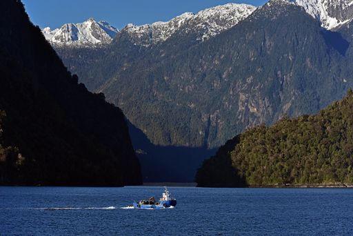 A small boat in the lake surrounded with dense forests