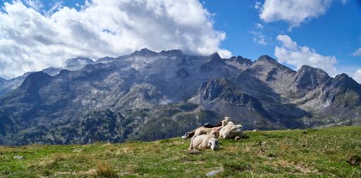 An idyllic rural scene of a sheep and its lamb lying in the lush grass, surrounded by the majestic backdrop of a mountain