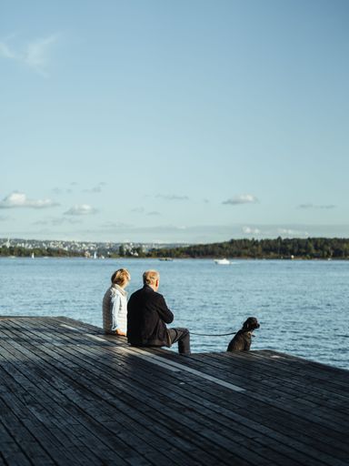 A senior couple with their dog sitting on the wooden dock over the lake under blue sky