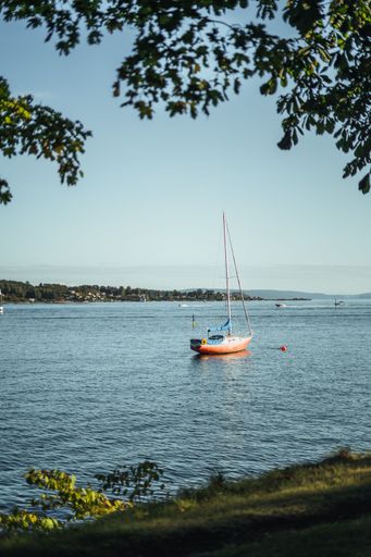 A small sailboat drifting peacefully on a tranquil lake in a lush, green park
