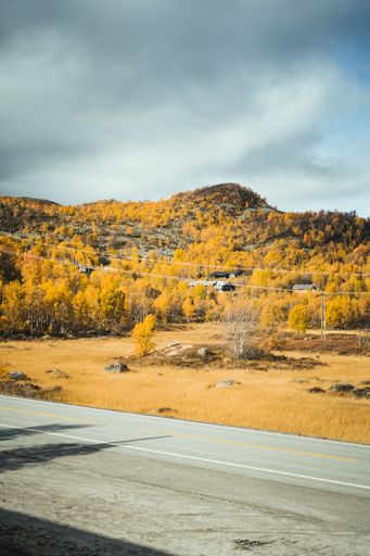 A vertical view from the asphalt country road of yellow hillside forests under cloudy sky