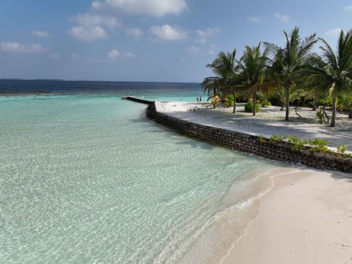 A picturesque tropical beach with a white sand shoreline and palm trees in the Maldives