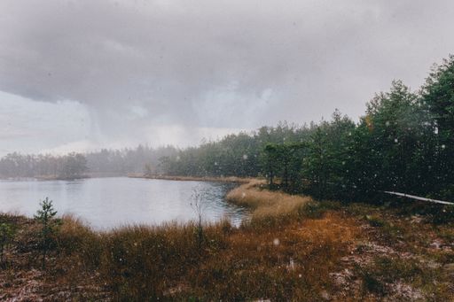A beautiful nature scene with falling snowflakes falling on an forest ground and a small pond surface