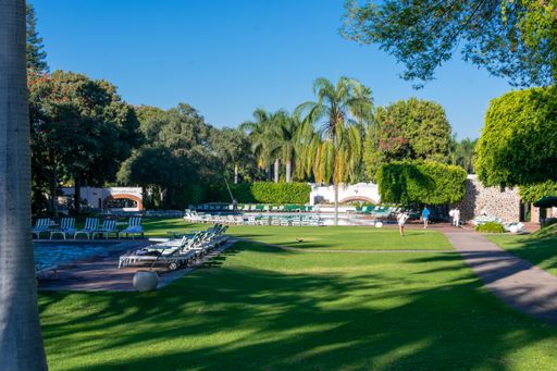 A garden in hotel with luxurious pool in a tropical climate