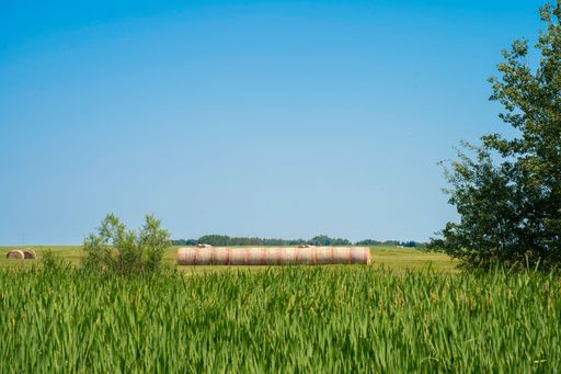 Large bales of straw are visible in a picturesque countryside setting against a bright blue sky with a tree in the background