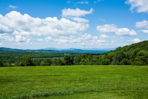 A green field surrounded by short trees and mountains on a sunny day
