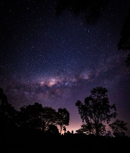 A majestic night sky featuring a canopy of stars above lush trees in the foreground