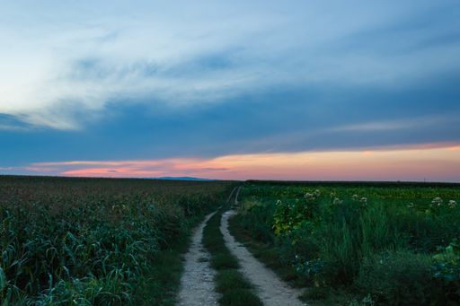 A beautiful shot of a road through a green field under a sunset sky