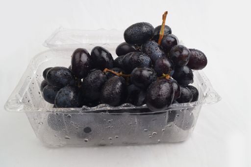 A closeup of fresh ripe black grapes with waterdrops in a plastic container