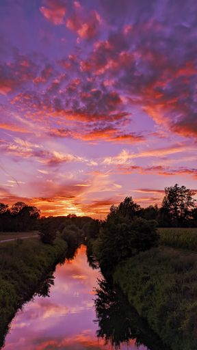 A flowing creek gleaming under the beautiful cloudy pink sky in the park