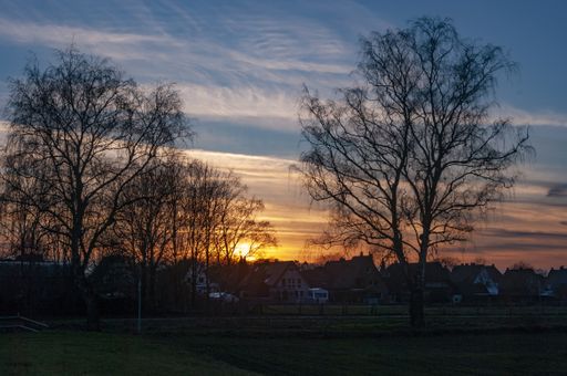 A beautiful view of the trees gleaming under the sunset piercing through the cloudy sky