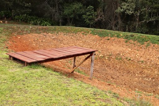 A high angle shot of a dock in the middle of a forest