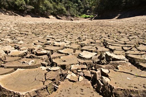 A high angle shot of the dried and cracked muddy ground