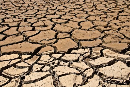 A high angle shot of the dried and cracked muddy ground
