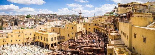 Workers are dyeing leather at the tannery in Fez, Fes el Bali, Morocco, Africa