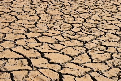 A high angle shot of the dried and cracked muddy ground