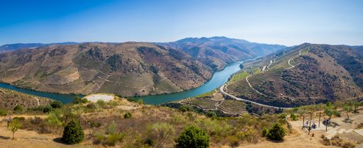An aerial shot of vineyards and Douro River near Vila Nova de Foz Coa, Portugal