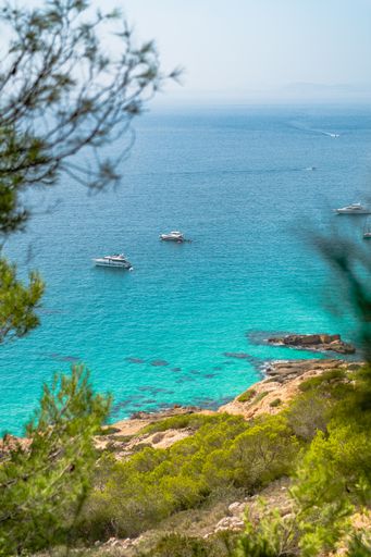 Vertical shot of Boats anchored near the shore of a cala with crystal clear waters on the island of Mallorca, Spain. View between the tree branches.