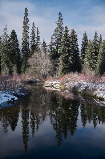 A vertical shot of a river in the middle of fields with trees under a blue sky in Canada