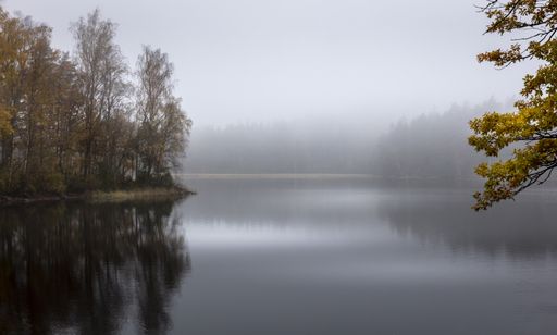 A breathtaking view of an autumn lake surrounded by trees reflected in the water on a misty day