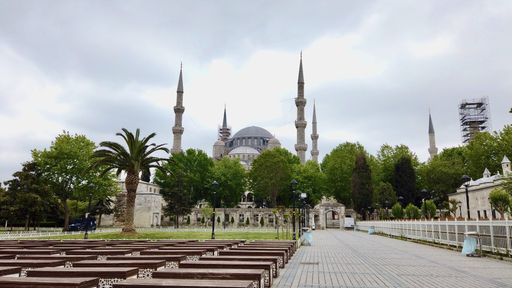 The magnificent view of the Blue Mosque surrounded by trees captured in Istanbul,