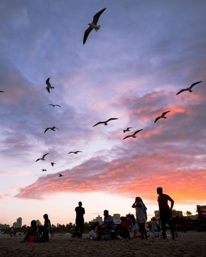 A beautiful shot of silhouettes of people looking at the red sky during sunset full of birds