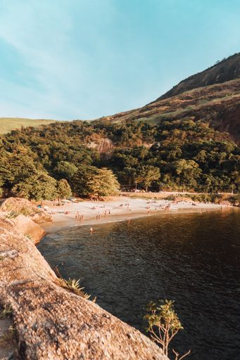 A vertical picture of the beach surrounded by sea and hills covered in greenery under the sunlight