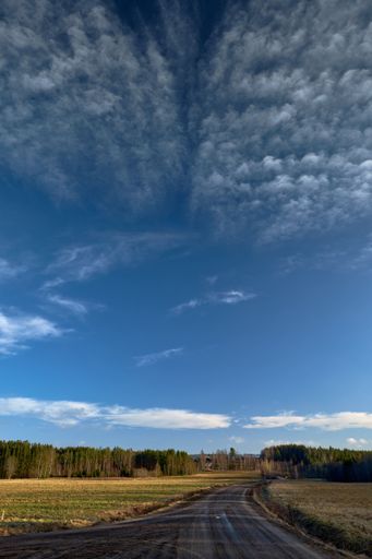 A vertical picture of a road surrounded by grass and trees under the sunlight and a blue sky