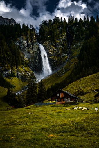 A vertical shot of a picturesque flowing waterfall on a cliff near valleys in Switzerland