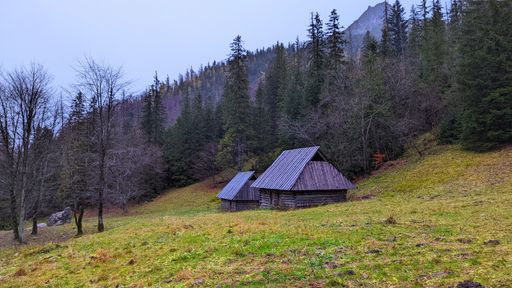 This peaceful cabin sits atop a green hillside, surrounded by plenty of trees