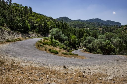 This stunning image captures a gravel road next to the forest and hills with hills in the background
