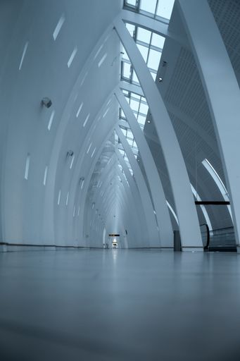 A blank room with a lot of windows and high ceilings