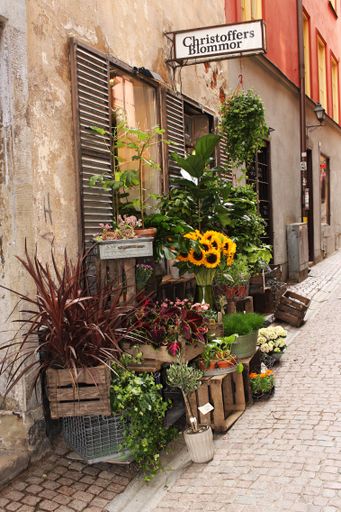 A beautiful display of flowers outside a shop in the old town (Gamla Stan). This is popular tourist area which features many boutique shops.