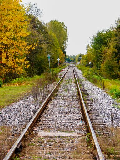 A vertical shot of train tracks in the middle of green and yellow trees under a cloudy sky