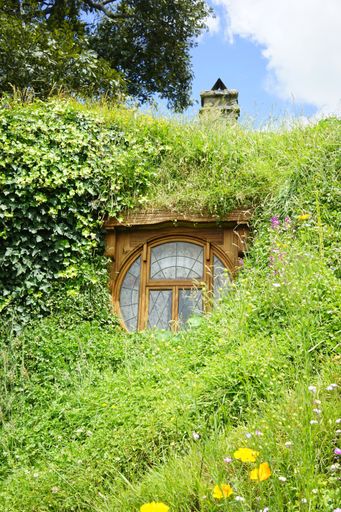 A vertical shot of a small wooden house covered by grass and flowers under a blue sky