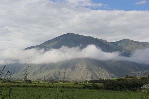 An expansive view of a vast green meadow leading to a majestic mountain in the background