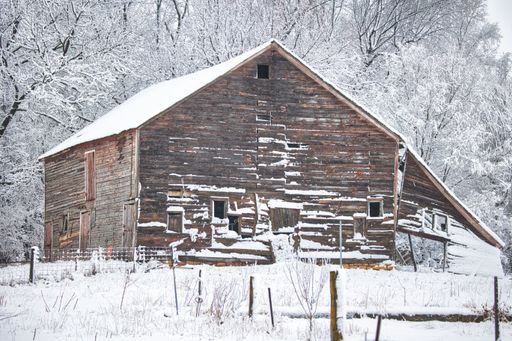 A winter scene featuring a two-story house in the snow, with tall evergreen trees in the background