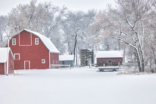 A stunning rural scene of a traditional red barn with a layer of snow on the roof
