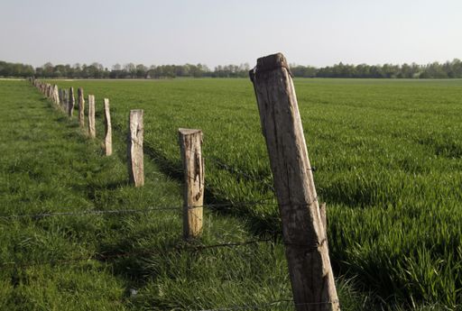 An empty grassy field with a barbwire fence