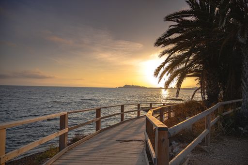 A beautiful view of a boardwalk surrounded by palm trees on a beach at sunse