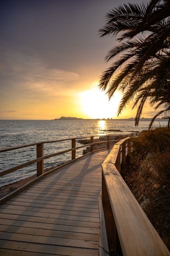 A vertical shot of a boardwalk surrounded by palm trees on a beach at sunse