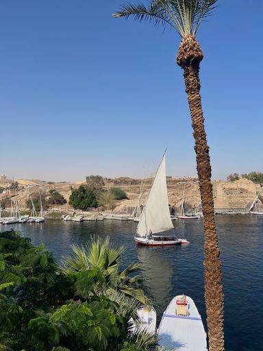 This scenic image shows an oasis filled with many small boats near trees and palm trees