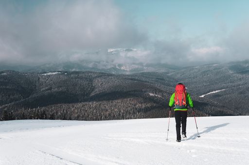 A beautiful shot of a person looking at the forest trees from atop a mountain during winter